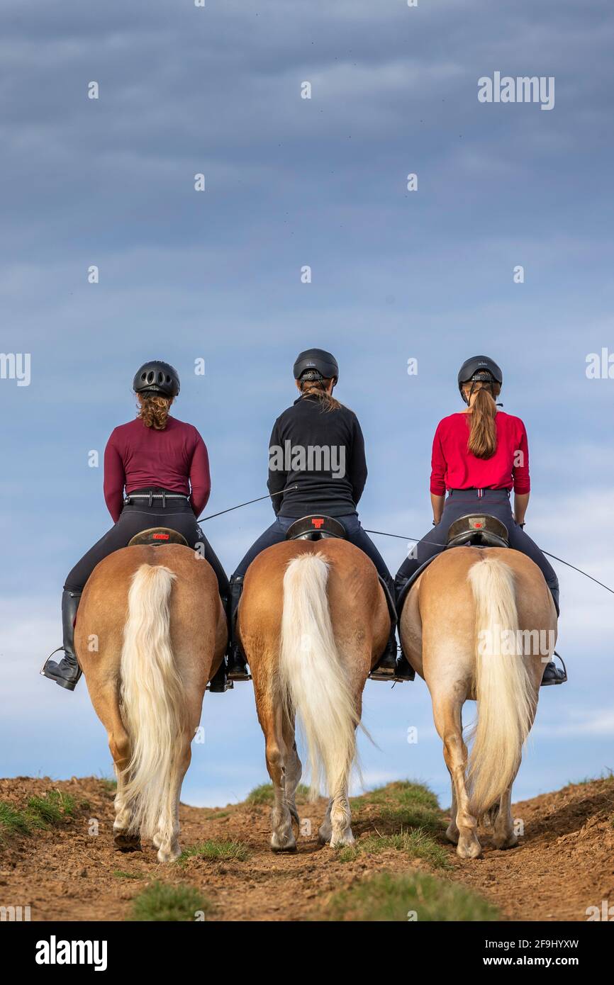 Tre ragazze che cavalcano Haflinger Horses, visto dalla parte posteriore. Germania Foto Stock