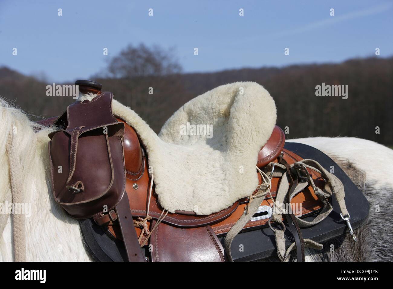 Cuscinetto a sella su una sella utilizzata per la guida su sentieri. Germania Foto Stock