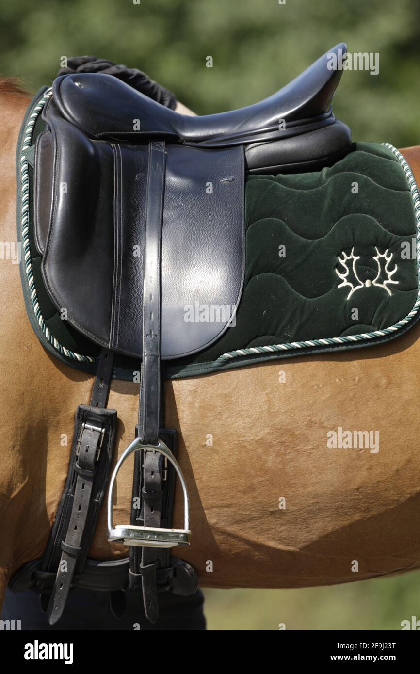Sella stile dressage Foto Stock