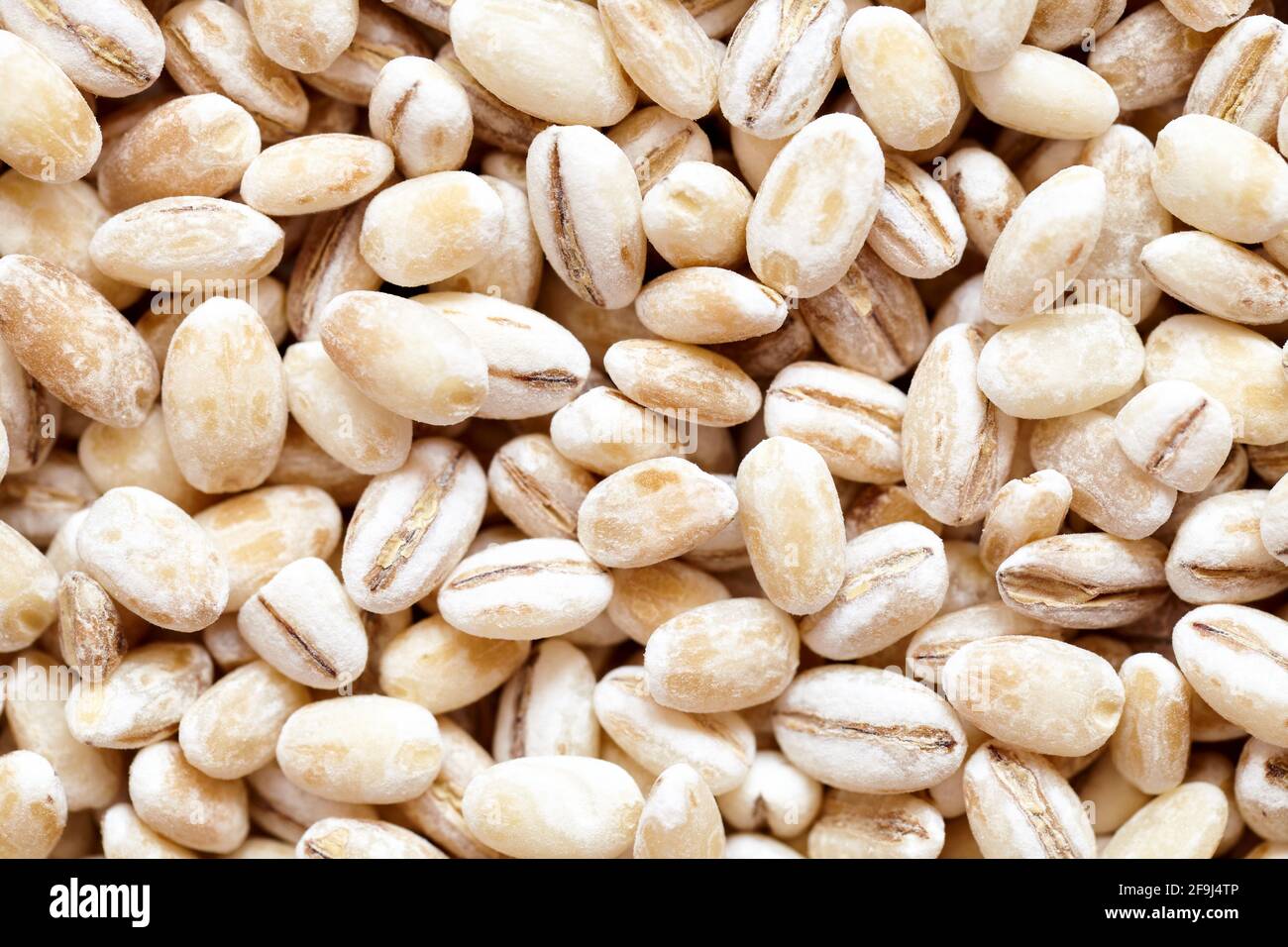 Perlato orzo essiccato closeup piatto cibo texture sfondo. Vista dall'alto macro orzo a due file con semi di buccia. Concetto di vegetarianismo e alimentazione sana Foto Stock