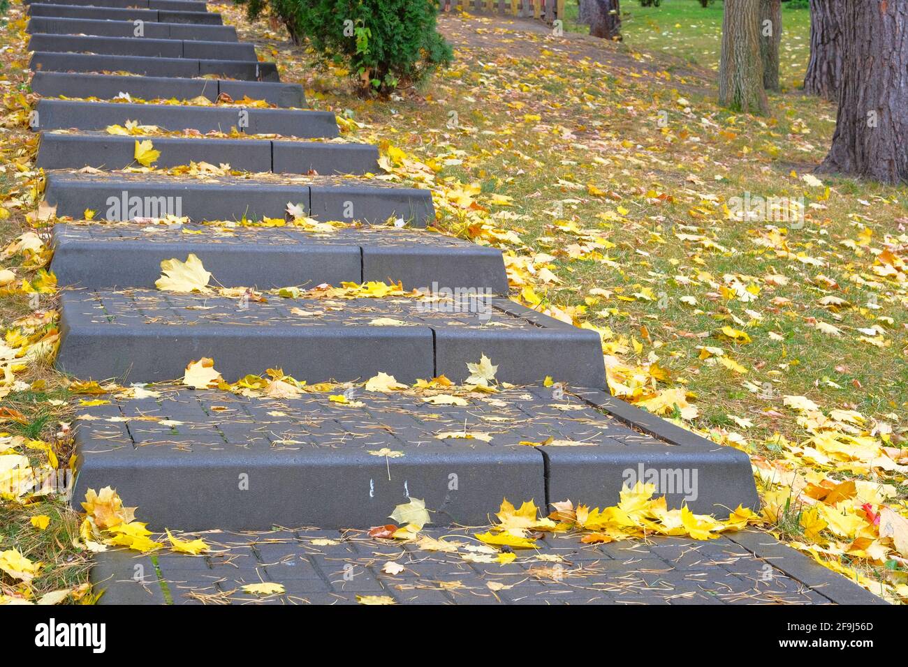 Autunno giallo acero foglie su scale pedonali in città tempo piovoso. Foglie lucide cadute sul parco cittadino. Foto Stock