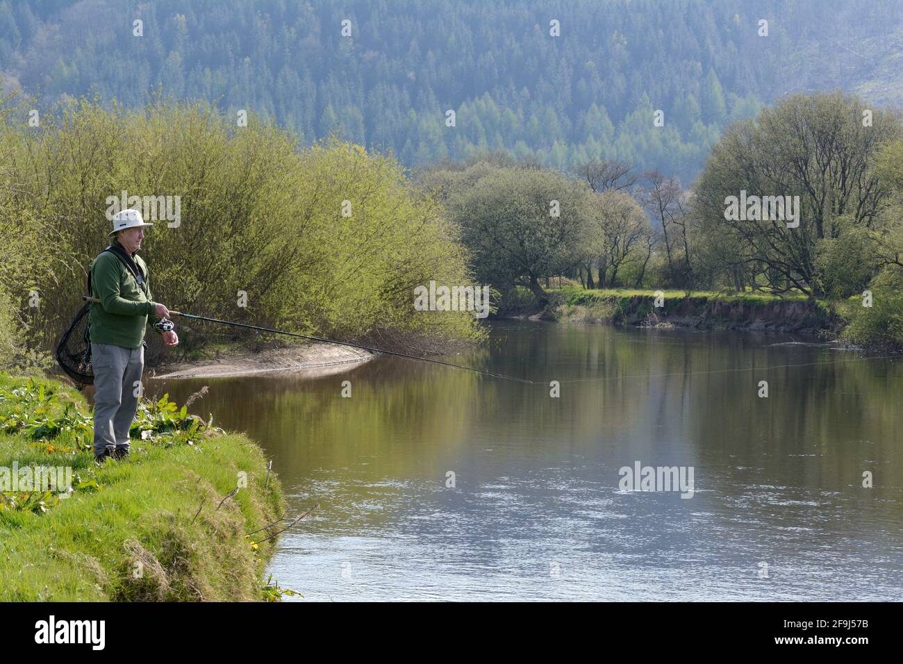 Pescatore pescatore pesca sulla riva del fiume Towy Carmarthenshire Wales Cymru UK Foto Stock