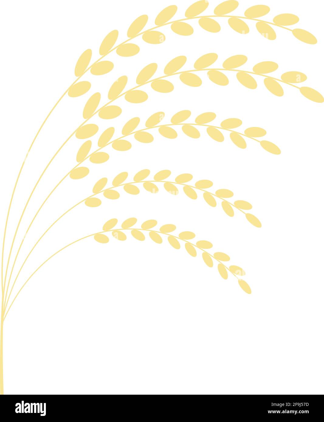 Piante riso isolato con illustrazione vettoriale bianca Illustrazione Vettoriale