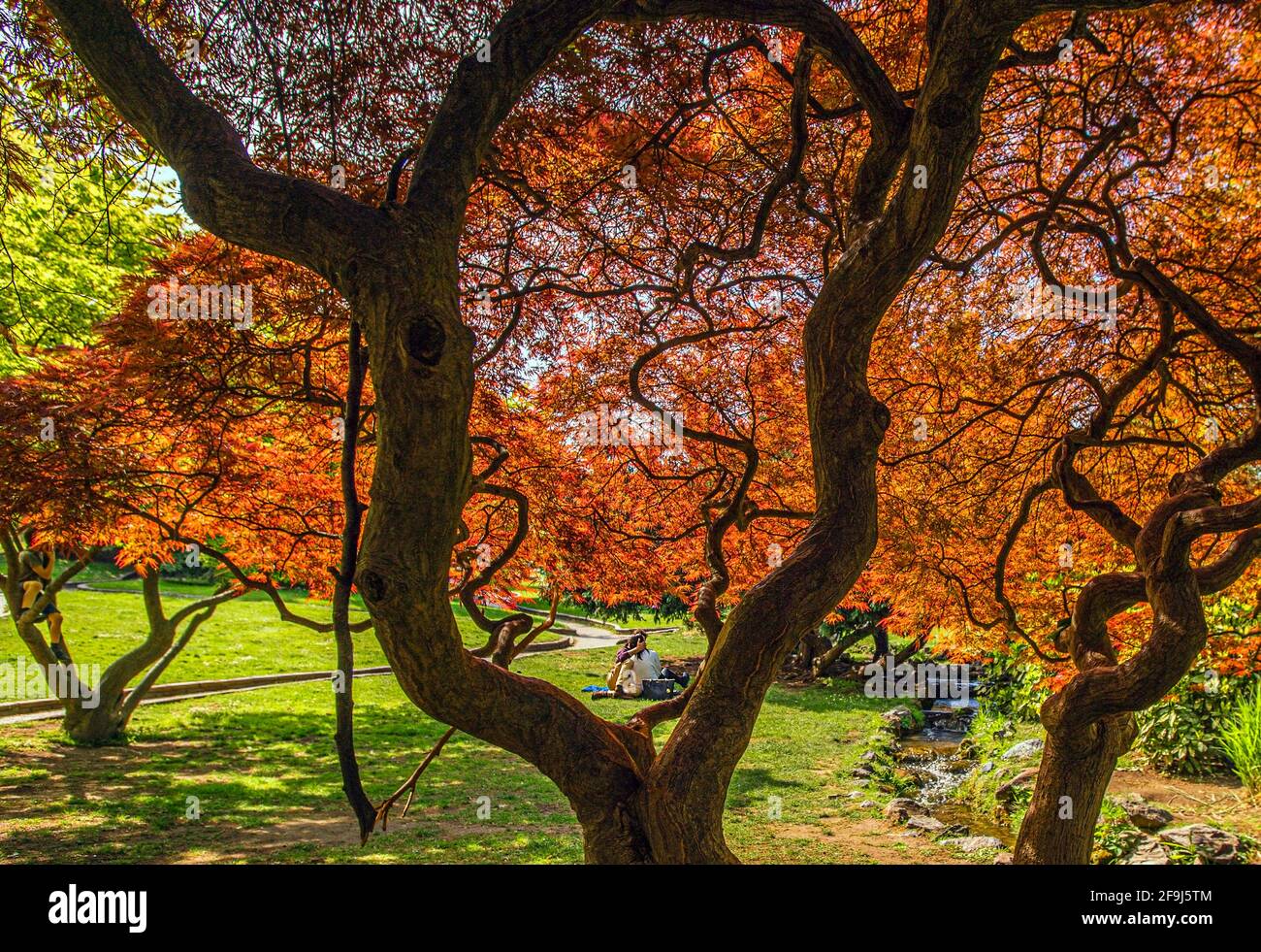 Italia Piemonte Torino Parco del Valentino - Giardino di roccia Foto Stock