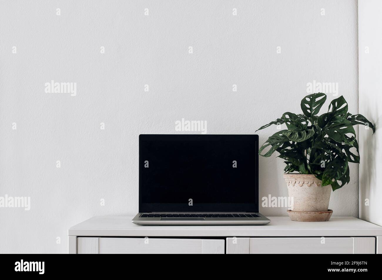 Moderna e semplice composizione dello spazio di lavoro. Scena di mock-up del notebook. Monstera pianta in vaso di fiori e laptop su armadietto di legno. Sfondo bianco Scandi Foto Stock