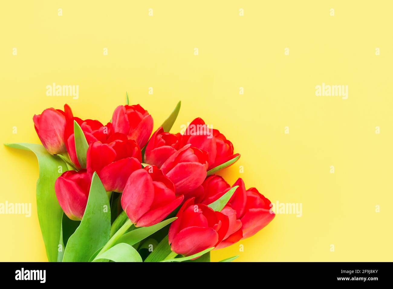 Bouquet di tulipani rossi su sfondo giallo brillante. Festa della mamma, giorno di San Valentino, concetto di festa di compleanno. Vista dall'alto, spazio di copia per il testo Foto Stock