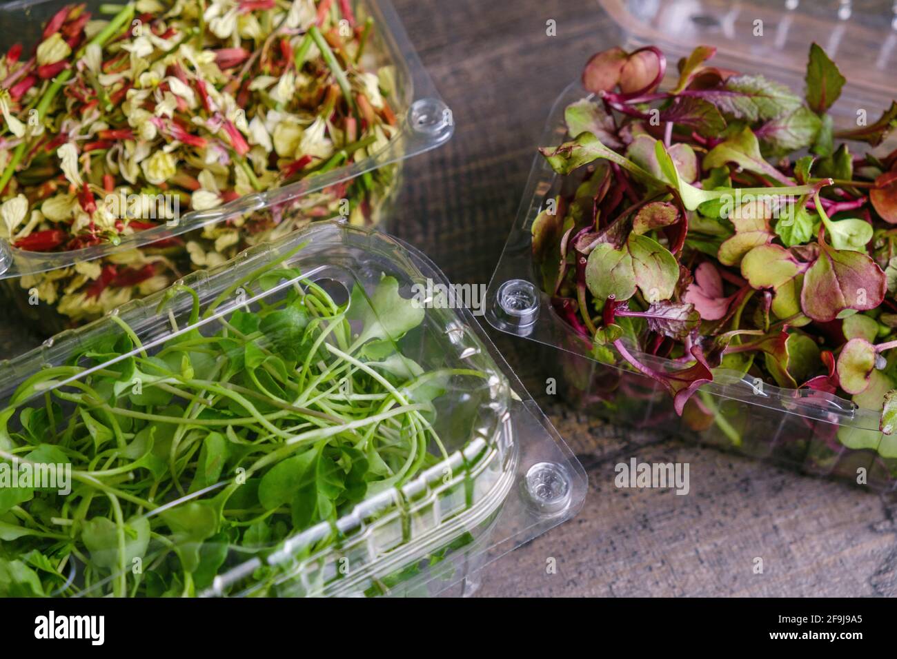 Contenitori in plastica con broccoli e micrograni ravicciati rossi rambo Foto Stock