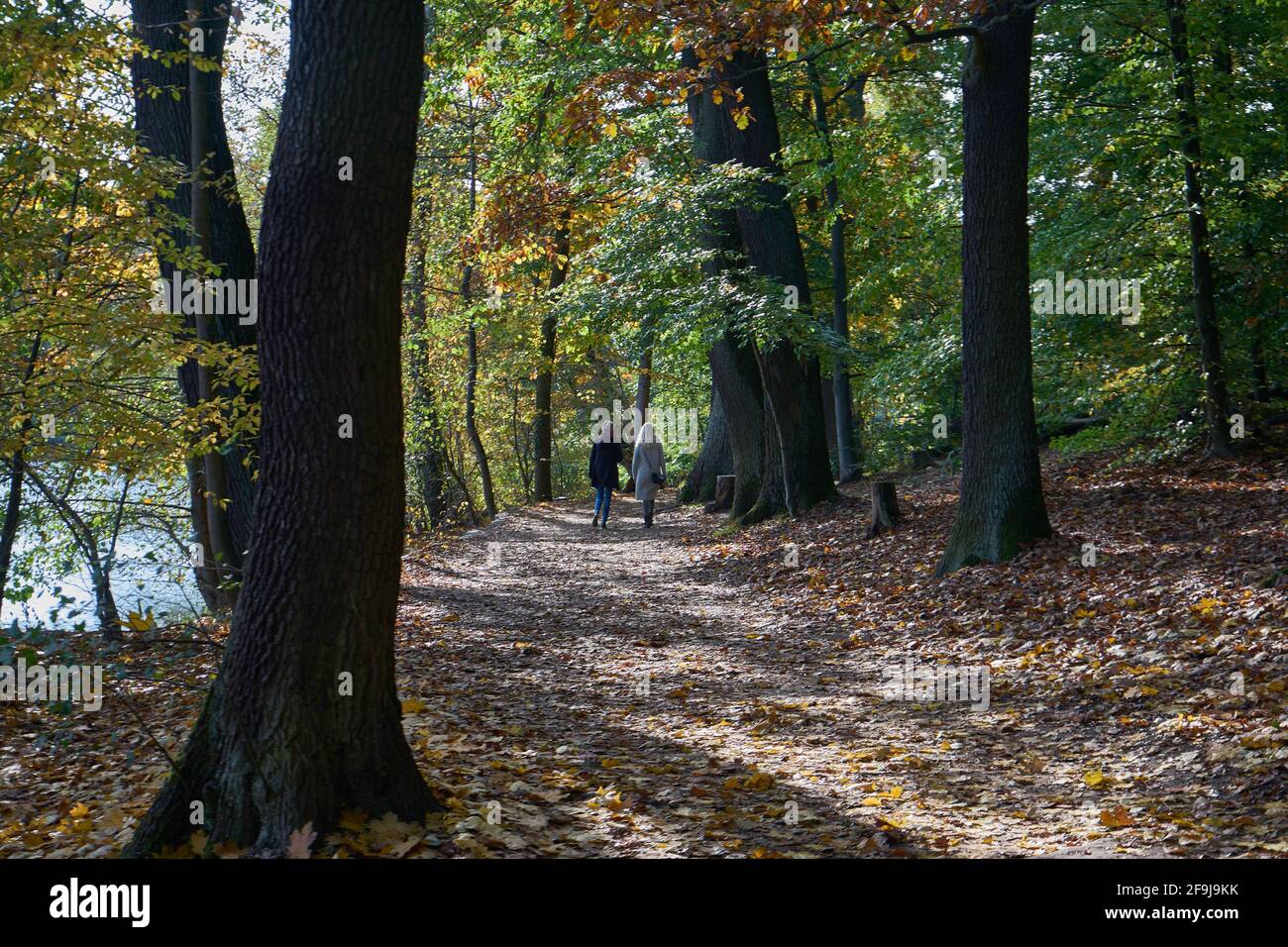 Spaziergänger, Weg am Schlachtensee, Bäume mit Herbstlaub, Steglitz-Zehlendorf, Berlino, Germania Foto Stock