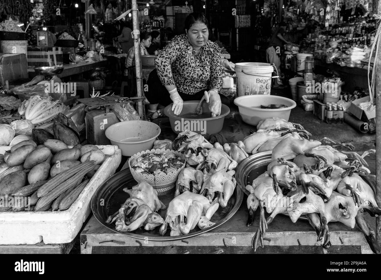 Pollo Fresco E Anatre In Vendita Al Mercato Di Psar Nath (Mercato Centrale}, Battambang, Cambogia. Foto Stock