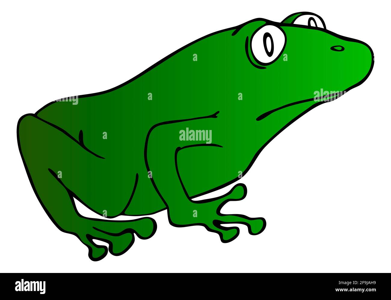 Illustrazione cartoon della rana verde Foto Stock