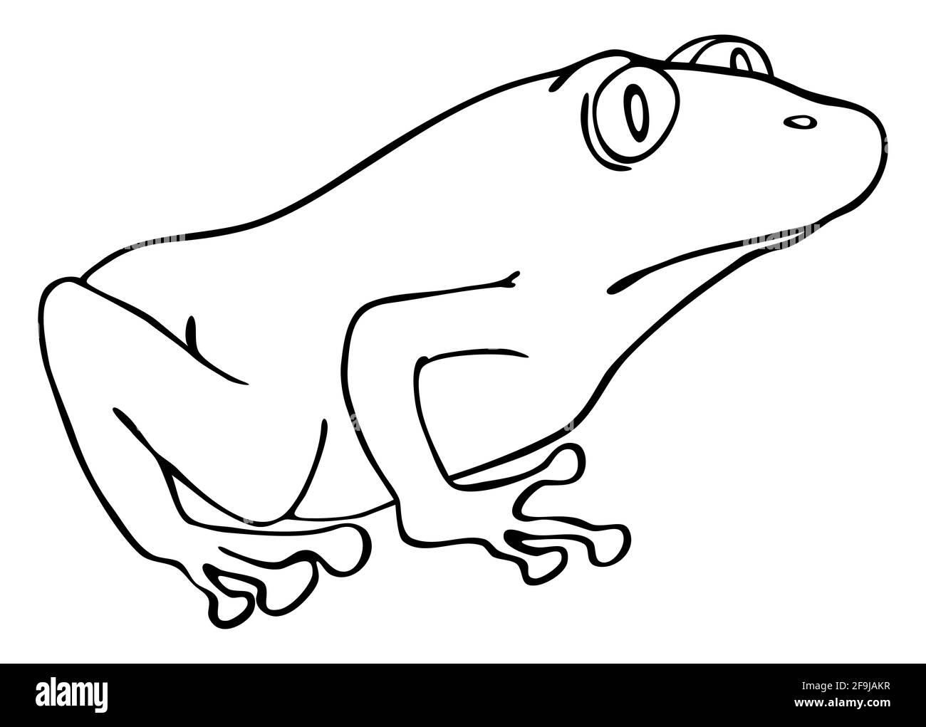 Illustrazione cartoon della rana verde Foto Stock