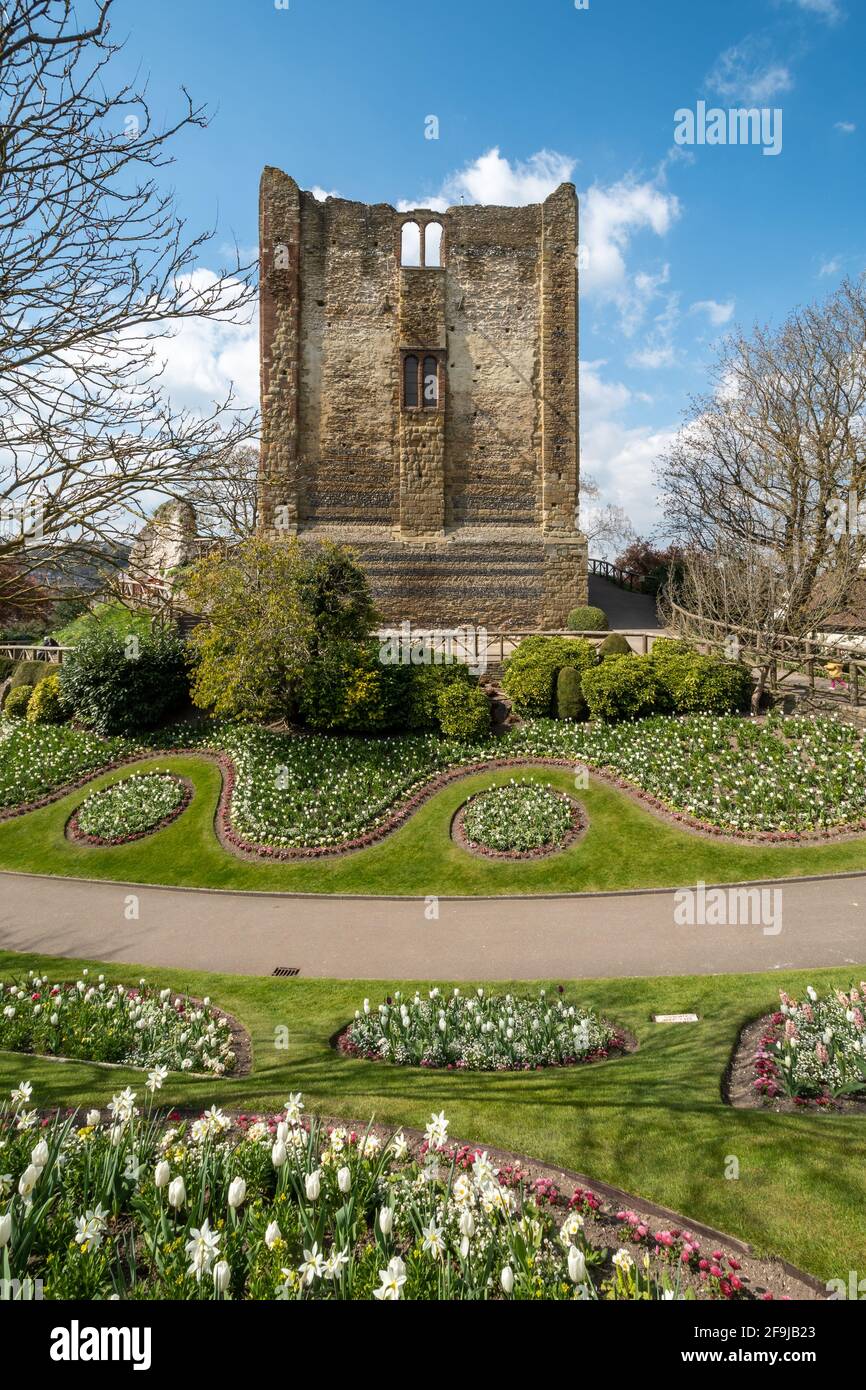 Castello di Guildford e giardini durante aprile con tulipani e altri fiori di primavera, Surrey, Inghilterra, Regno Unito Foto Stock