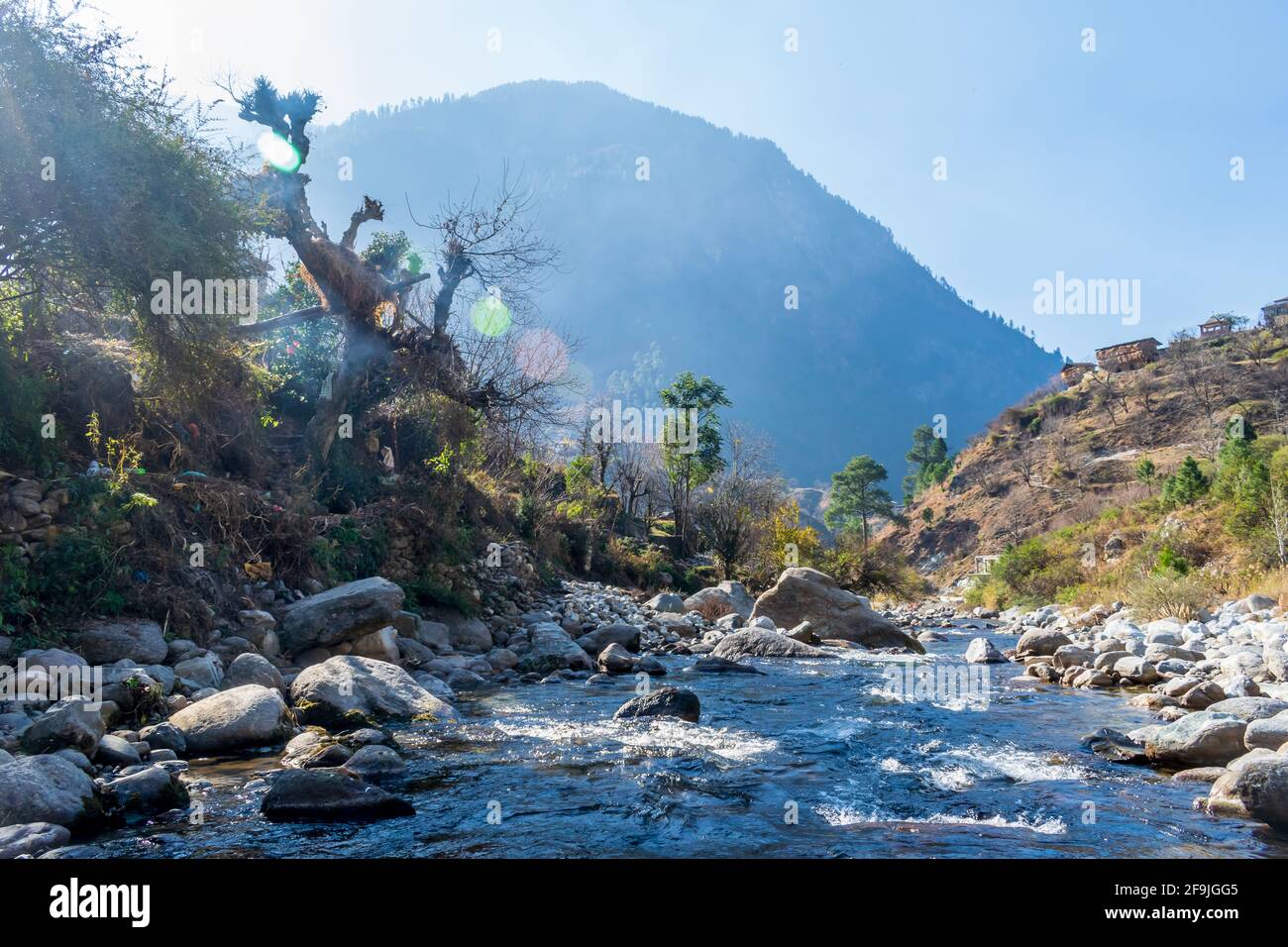 Un ruscello di montagna, Pekhri, Valle di Tirthan, Himachal Pradesh, India Foto Stock