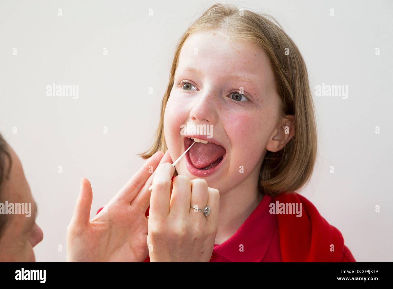 Età scolastica bambino scuola primaria ragazza di 11 anni / anno con campioni prelevati dalla gola per l'uso in un LFT di flusso laterale da parte della società cinese Innova. Inghilterra Regno Unito. (123) Foto Stock