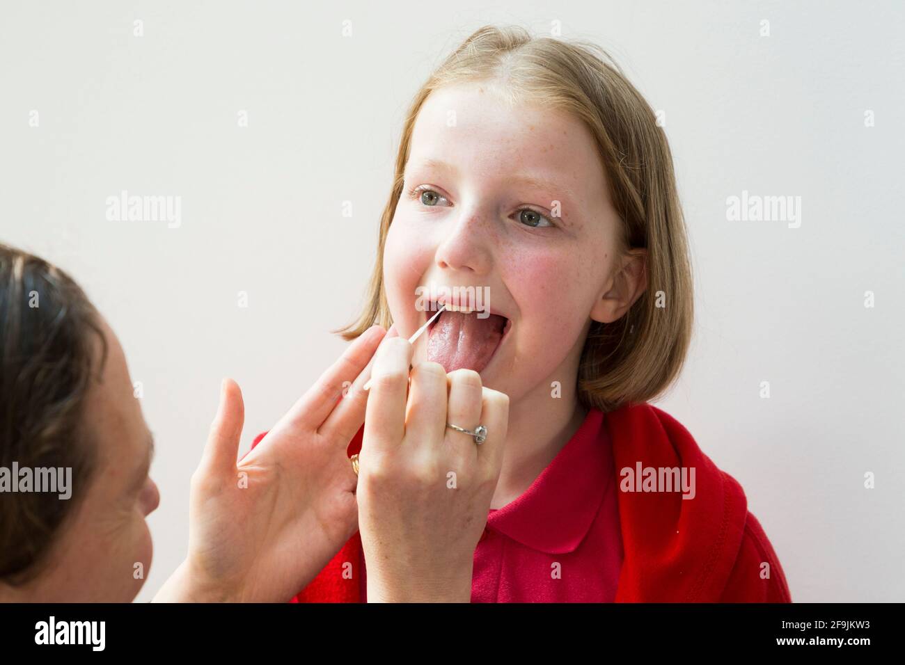 Età scolastica bambino scuola primaria ragazza di 11 anni / anno con campioni prelevati dalla gola per l'uso in un LFT di flusso laterale da parte della società cinese Innova. Inghilterra Regno Unito. (123) Foto Stock