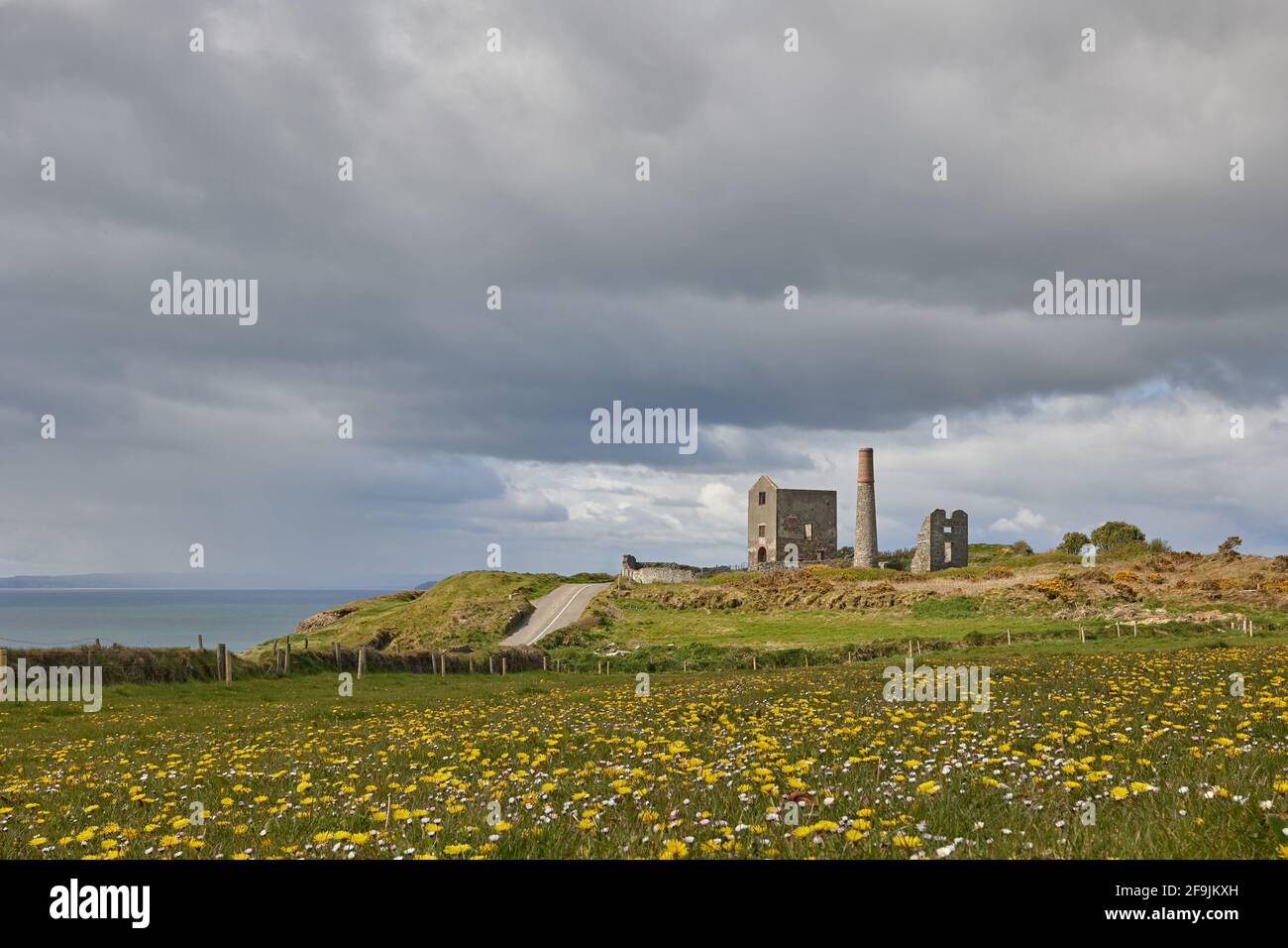 primavera, fiori e cielo nuvoloso. Tankardstown. Geopark Costa del rame Foto Stock