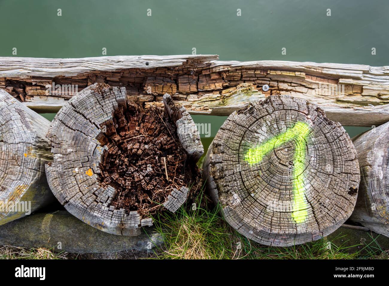 Didyllische Hafen Lippe an der Hohwachter Bucht in Schleswig-Holstein, ein Hafen für Wassersportler und Ostseefischer Foto Stock