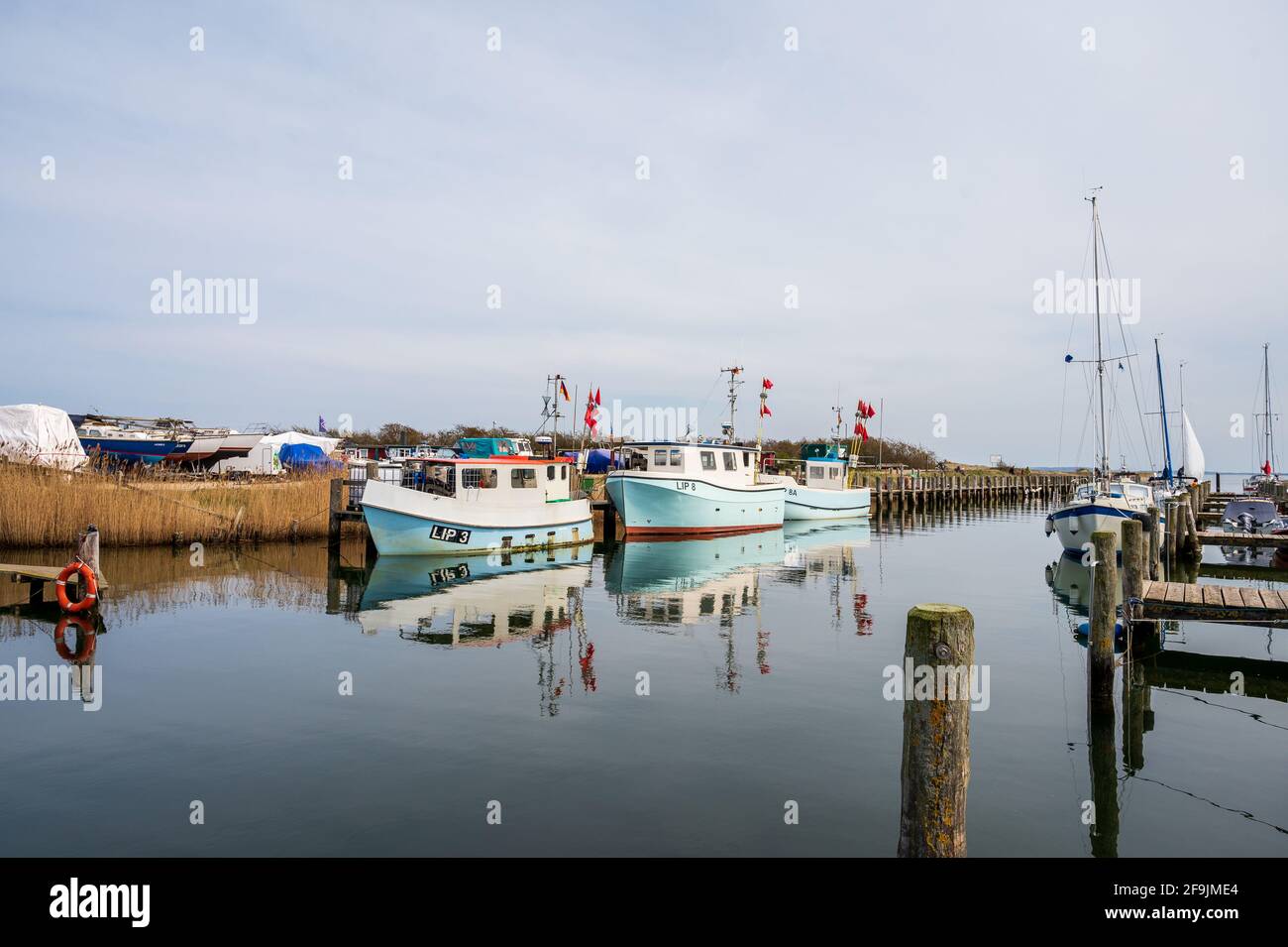 Fischerboote im Hafen Lippe an der Hohwachter Bucht in Schleswig-Holstein Foto Stock