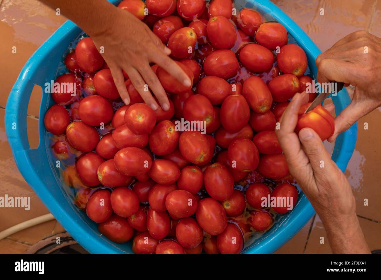 Preparazione di conserve fatte in casa, fatte a mano, con prodotti stagionali, locali. Dozzine di pomodori prugnoli, lavati, affettati e cotti con olio d'oliva, zucchero A. Foto Stock