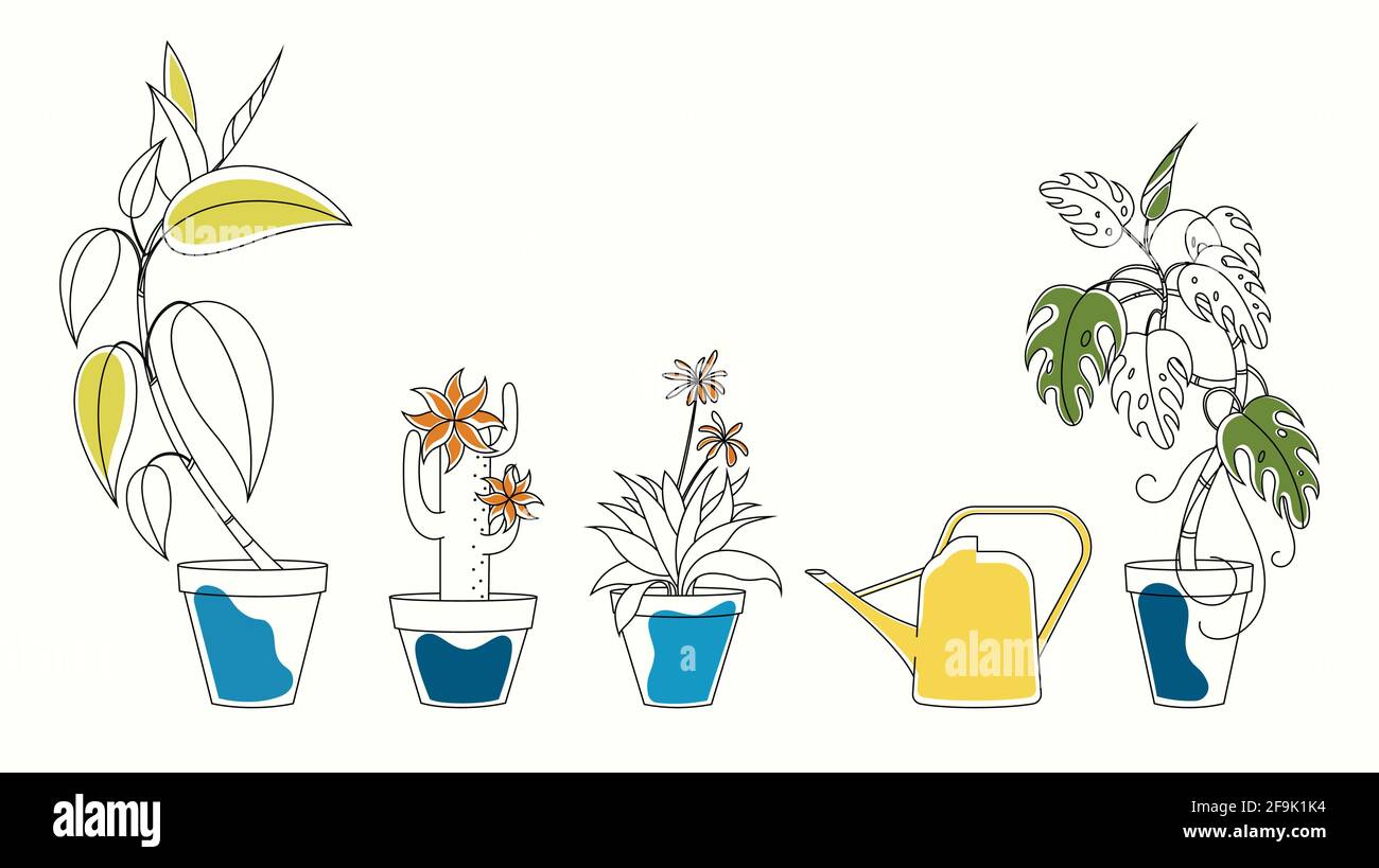 Set line art di illustrazioni piante in casa in pentole e. un lattino di annaffiatura giallo Illustrazione Vettoriale