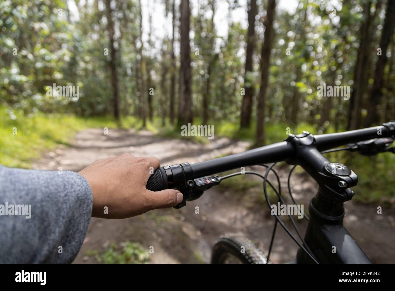 una mano che tiene il volante della sua bicicletta, sullo sfondo è un percorso nel mezzo della foresta in una giornata di sole, uno stile di vita sano Foto Stock