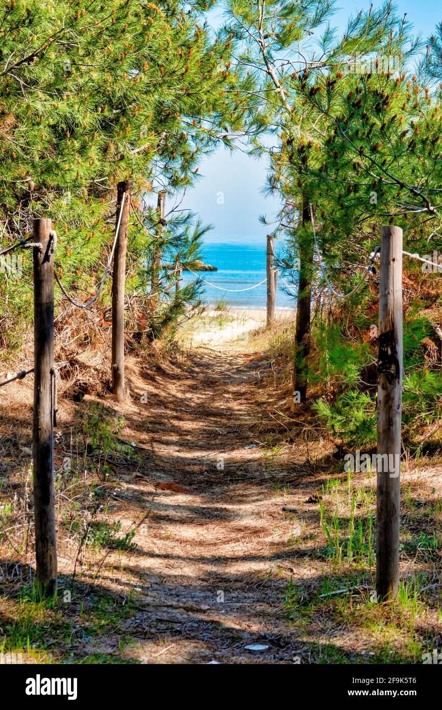 Accesso alla spiaggia nell'area marina protetta di Torre del Cerrano, Pineto, Italia Foto Stock