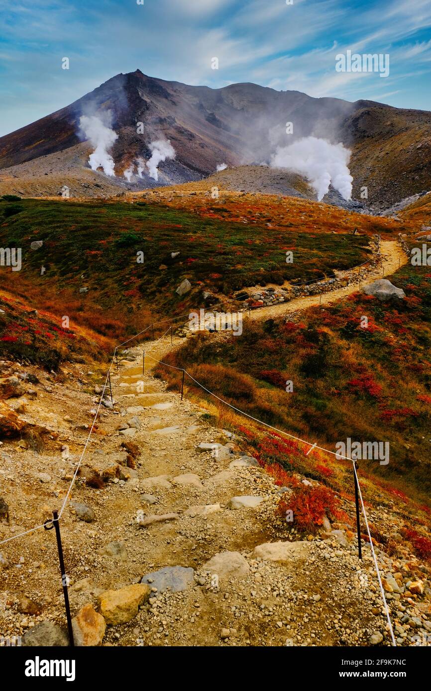 Mt. Asahi, fogliame di autunno Foto Stock