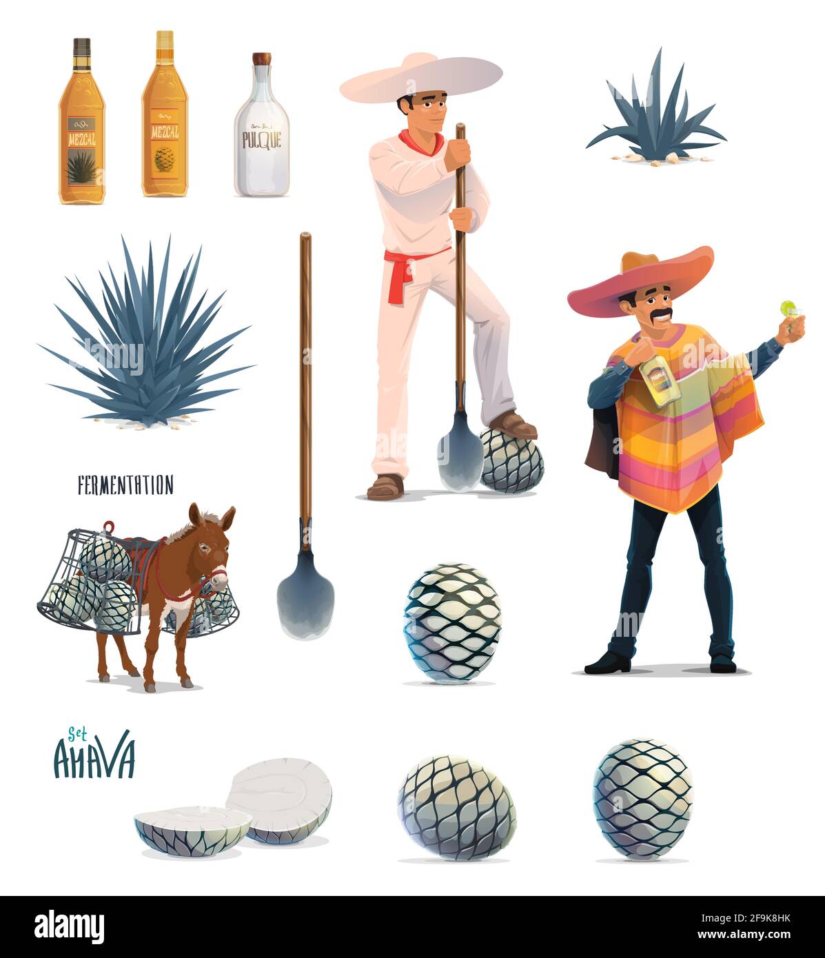 Agave tequila produzione disegno vettoriale con cartoon blu agava cactus, tequila bevande alcoliche bottiglie e messicano uomo con sombrero. Contadino jimador, do Illustrazione Vettoriale