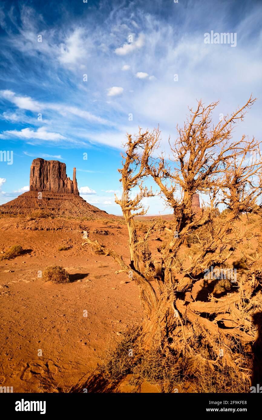 Monument Valley. Nazione Navajo. East Mitten Butte Foto Stock