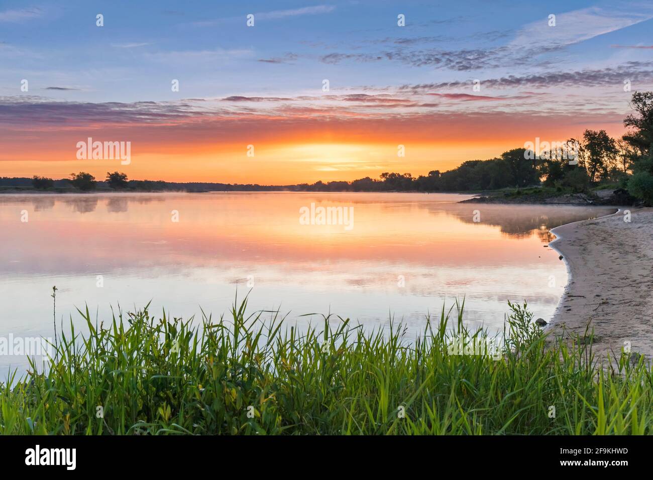 Alba nella Riserva della Biosfera dell'UNESCO paesaggio del fiume Elba / Biosphärenreservat Niedersächsische Elbtalaue in primavera, bassa Sassonia, Germania Foto Stock