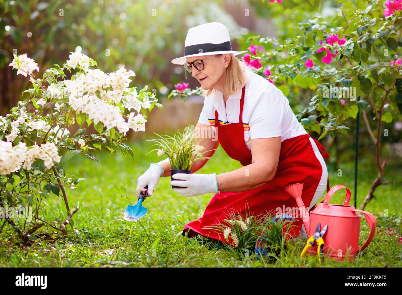 Donna anziana giardinaggio. Signora in pensione cappello sole che innaffia  piante da giardino e fiori. Bel cortile in fiore soleggiato. Hobby  all'aperto Foto stock - Alamy