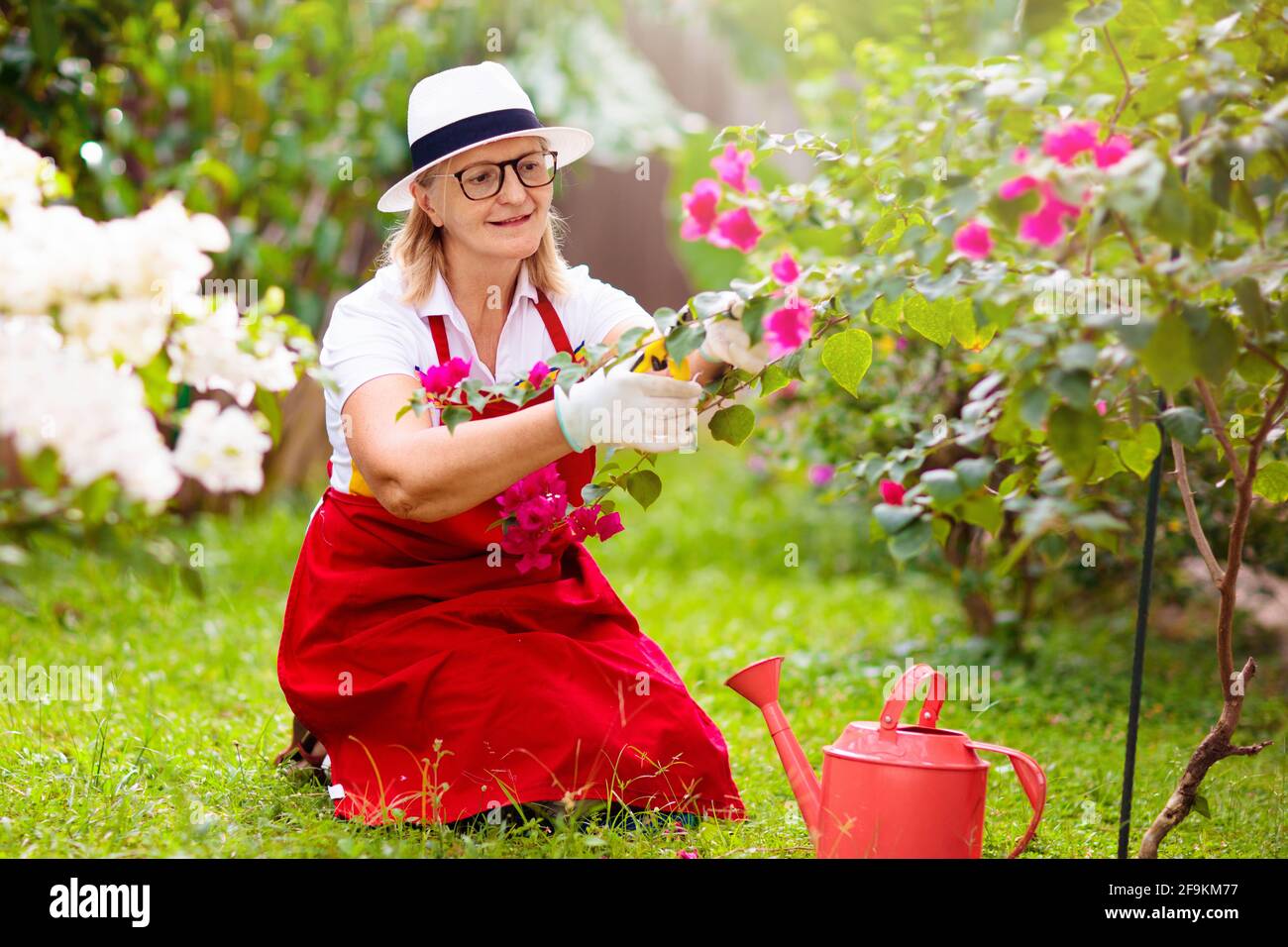 Donna anziana giardinaggio. Signora in pensione cappello sole che innaffia  piante da giardino e fiori. Bel cortile in fiore soleggiato. Hobby  all'aperto Foto stock - Alamy