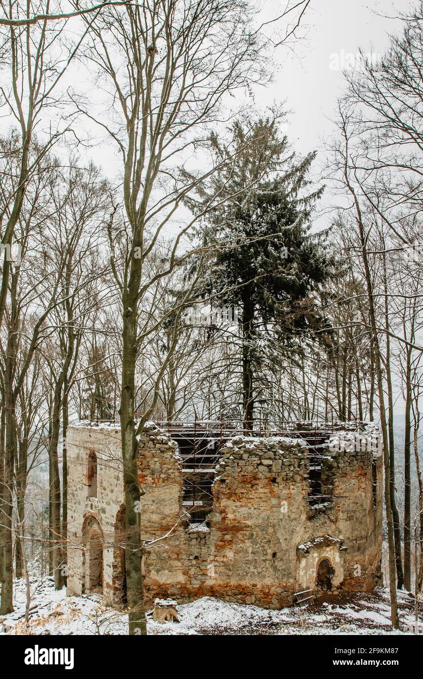 Rovine di Cappella di Santa Maria Maddalena sulla collina di Maly Blanik, Boemia centrale, Repubblica Ceca.luogo pellegrinaggio con grande abete rosso crescente Foto Stock