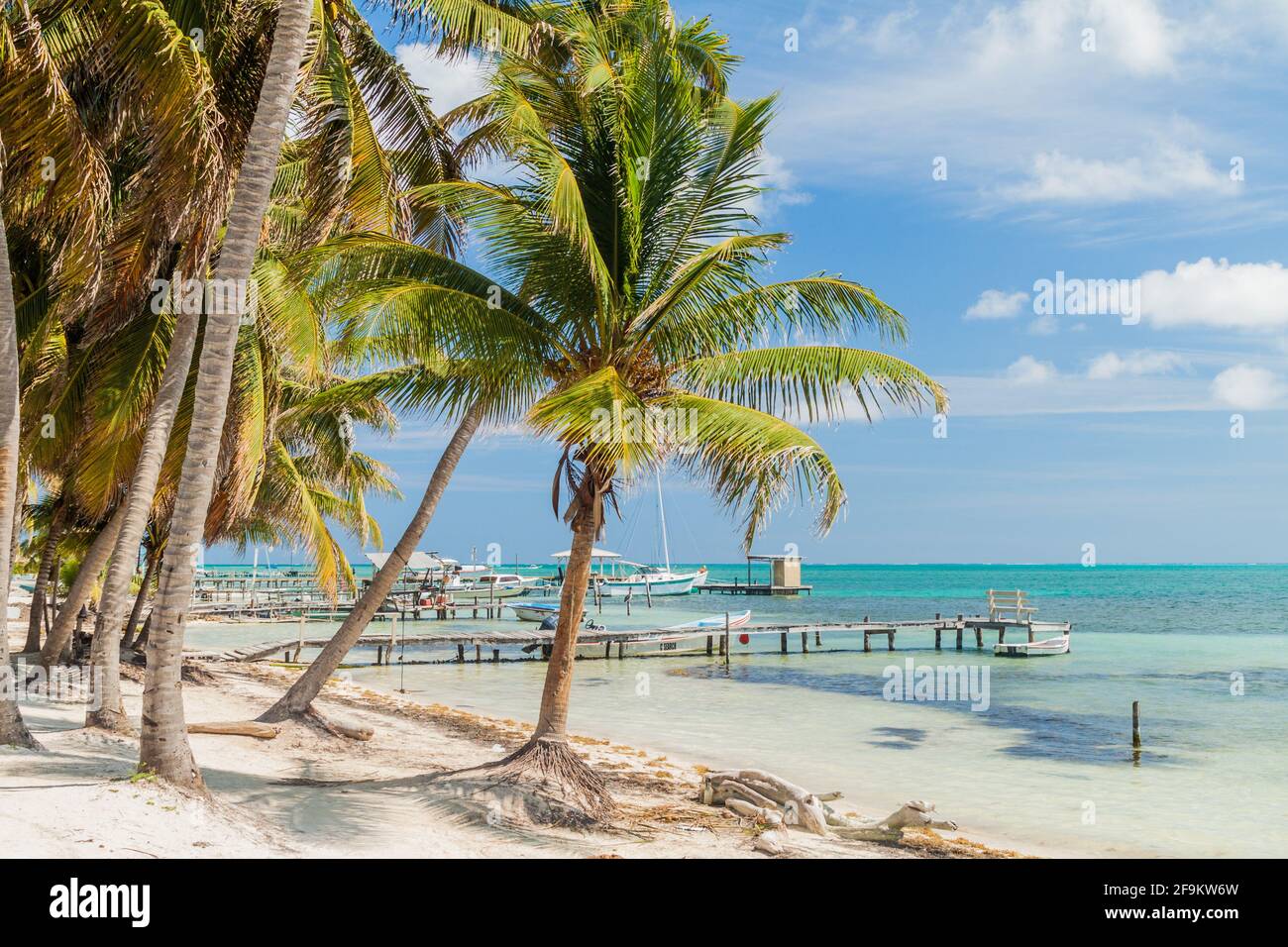 Palme e moli a Caye Caulker isola, Belize Foto Stock