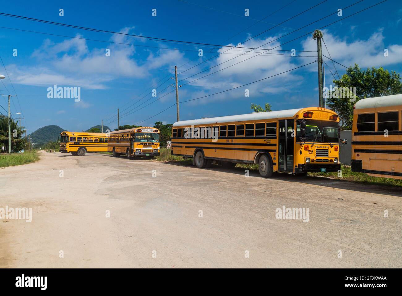 PUNTA GORDA, BELIZE - 9 MARZO 2016: Vista degli autobus locali a volte chiamati polli , ex autobus scolastici nella città di Punta Gorda, Belize Foto Stock