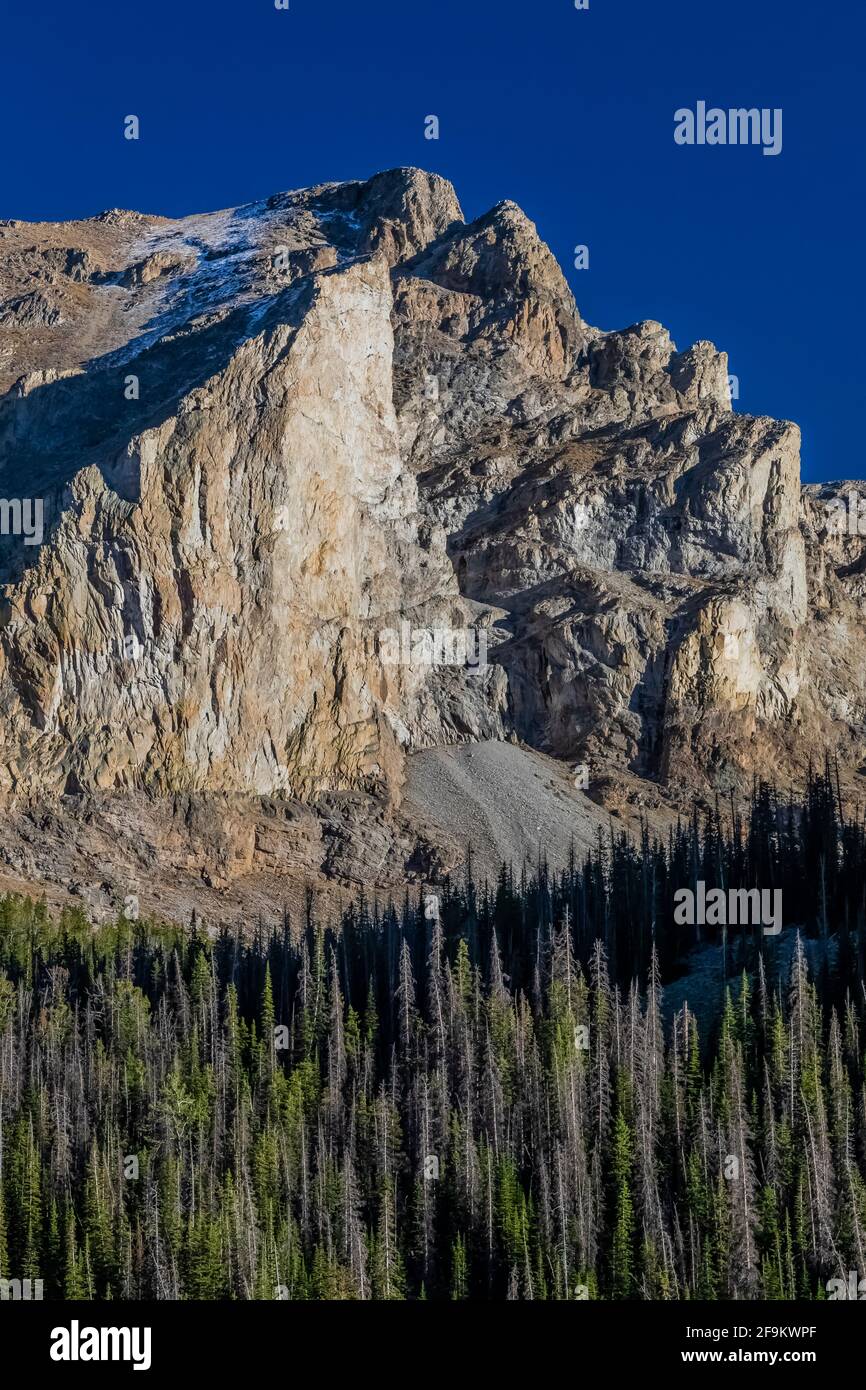 Le montagne si innalzano drasticamente sopra la Rock Creek Valley nelle Beartooth Mountains, Beartooth Highway, Montana, USA Foto Stock