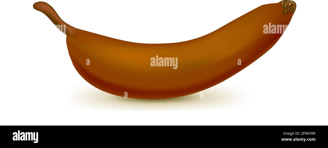 Banana marrone realistica isolata su sfondo bianco. Frutta tropicale. Illustrazione vettoriale realistica Illustrazione Vettoriale