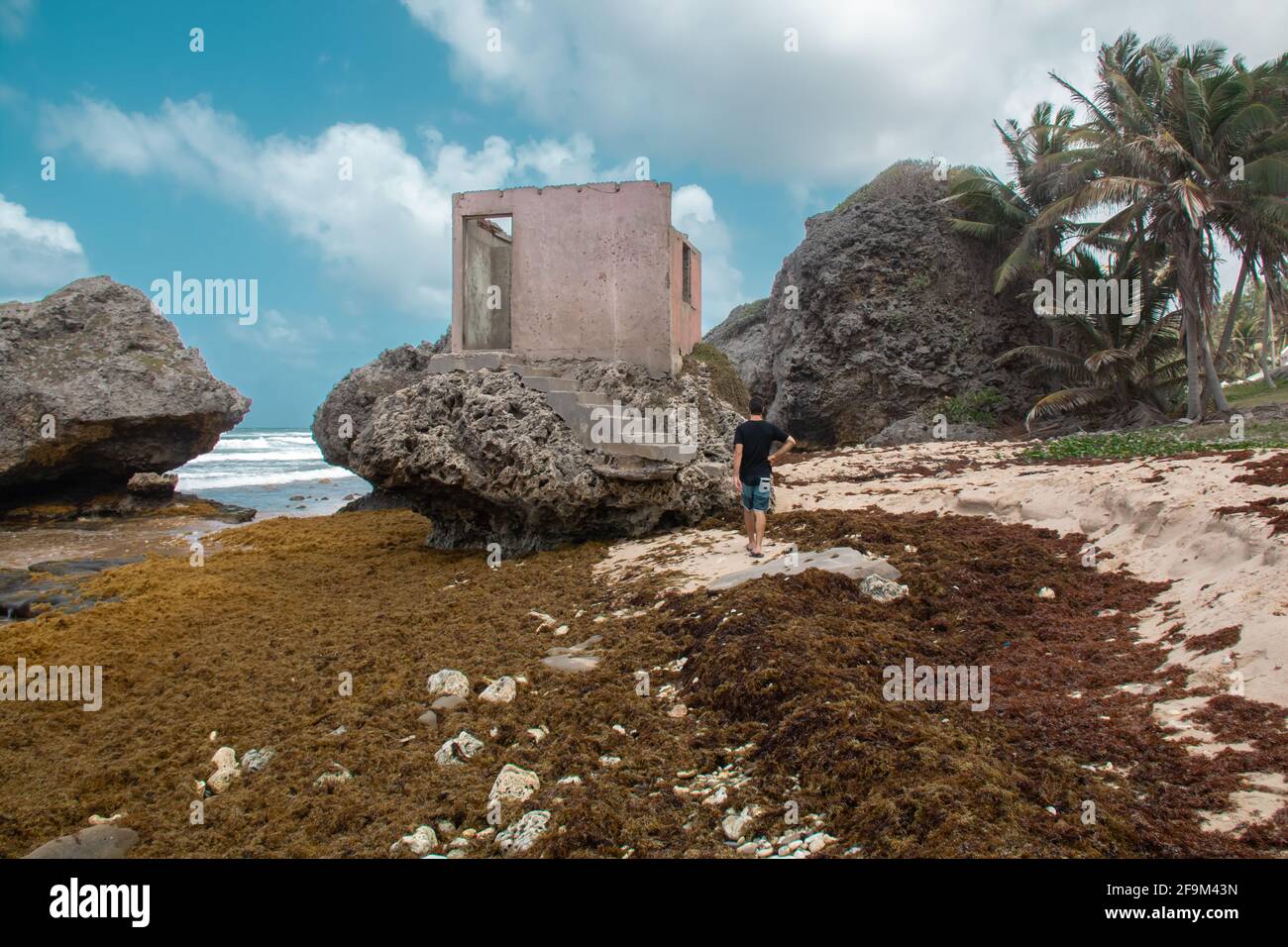 Uomo bianco che cammina verso le rovine di un edificio di cemento rosa sporco su una formazione rocciosa sulla spiaggia di Bathsheba, Barbados, durante il giorno. Nuvole spesse. Foto Stock