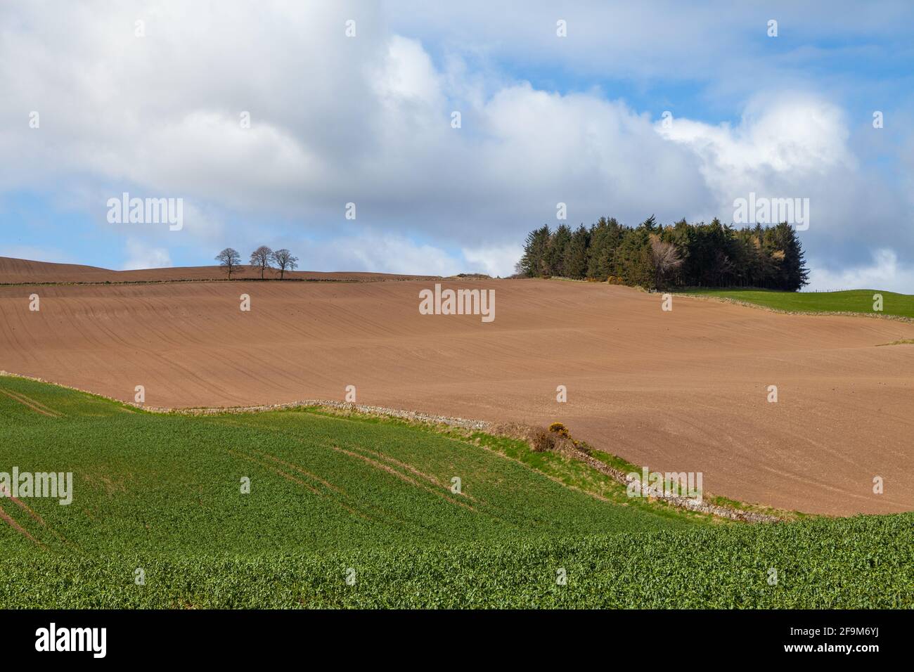 Campagna rurale intorno Auchtermuchty Fife Scozia Foto Stock
