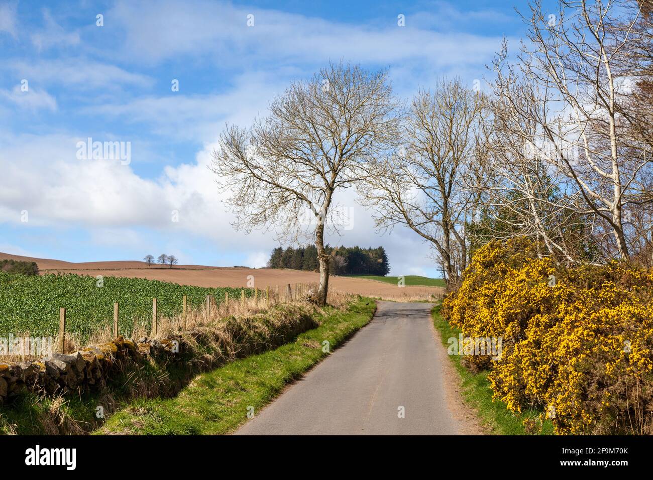 Campagna rurale intorno Auchtermuchty Fife Scozia Foto Stock