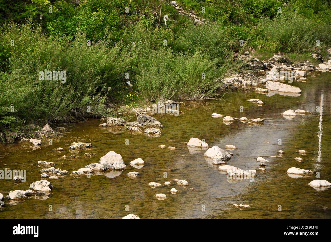 Fiume e letto del fiume di Rječina, vicino alla città Rijeka, in Croazia. Acqua fredda chiara vicino alla fonte. Aggiornamento. Pietre vicino al fiume Foto Stock