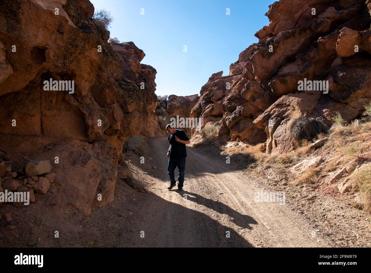 Il Chidago Canyon è un canyon vulcanico naturale della contea di Mono, California, USA, abbastanza largo da consentire il passaggio di un veicolo alla volta. Foto Stock
