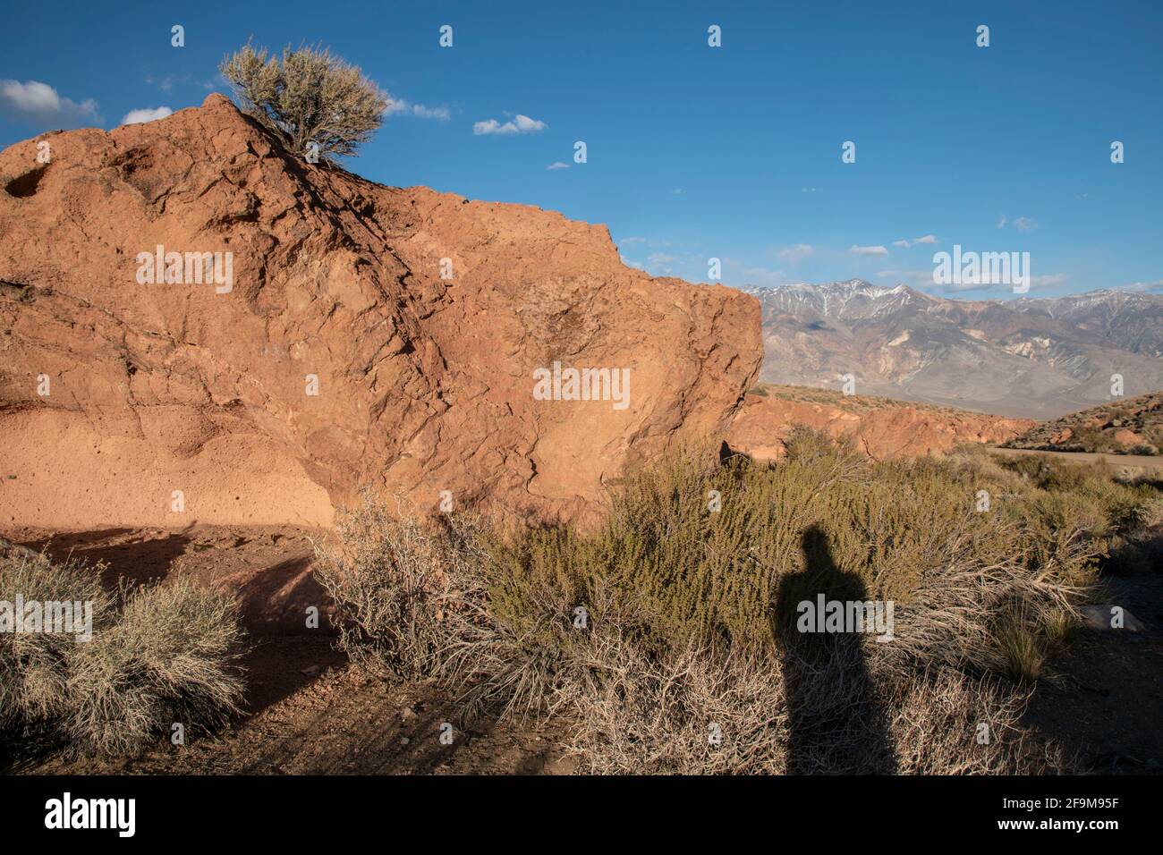 Il Chidago Canyon è un canyon vulcanico naturale della contea di Mono, California, USA, abbastanza largo da consentire il passaggio di un veicolo alla volta. Foto Stock