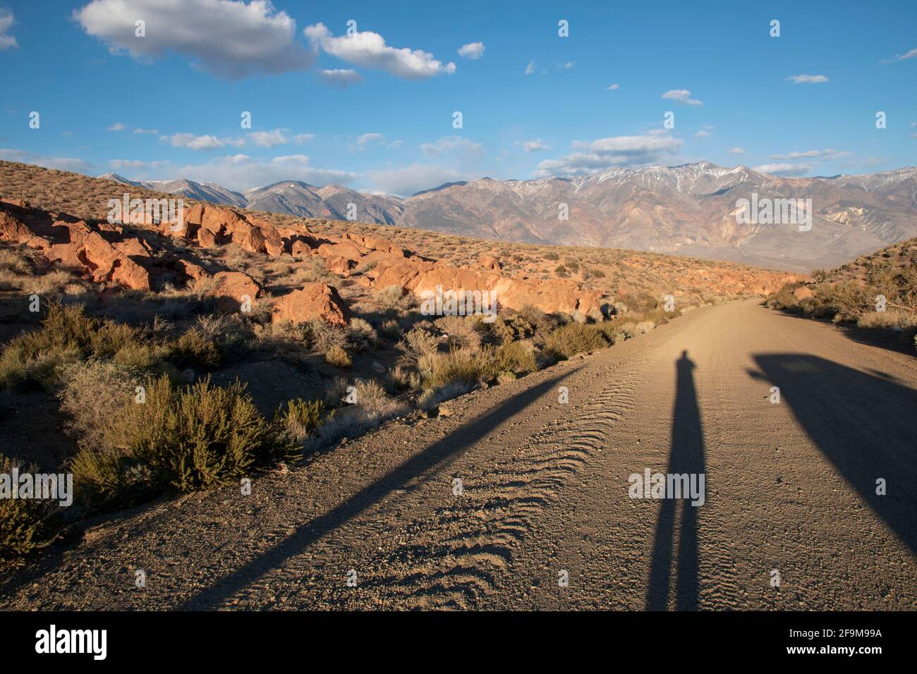 Il Chidago Canyon è un canyon vulcanico naturale della contea di Mono, California, USA, abbastanza largo da consentire il passaggio di un veicolo alla volta. Foto Stock