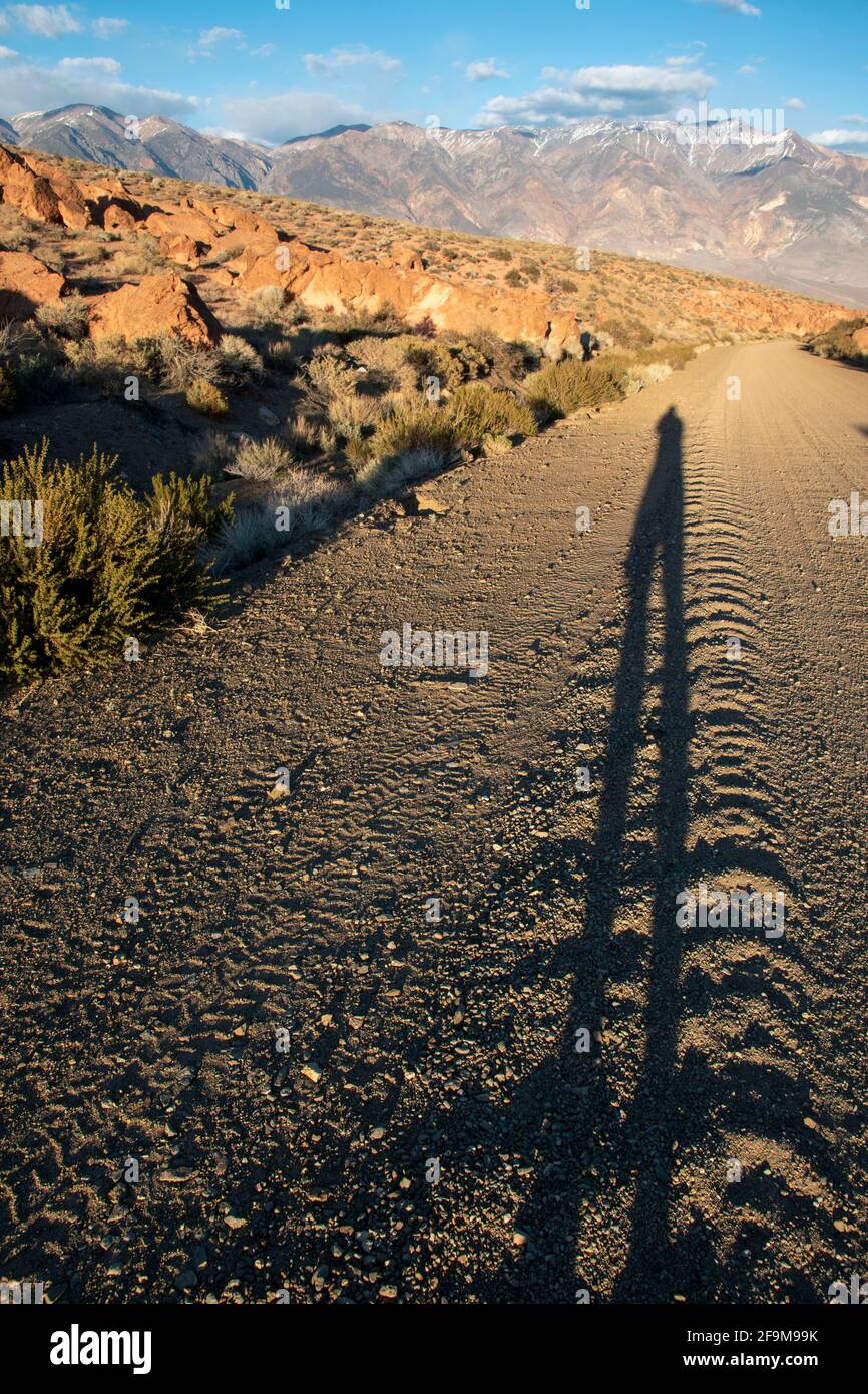 Il Chidago Canyon è un canyon vulcanico naturale della contea di Mono, California, USA, abbastanza largo da consentire il passaggio di un veicolo alla volta. Foto Stock