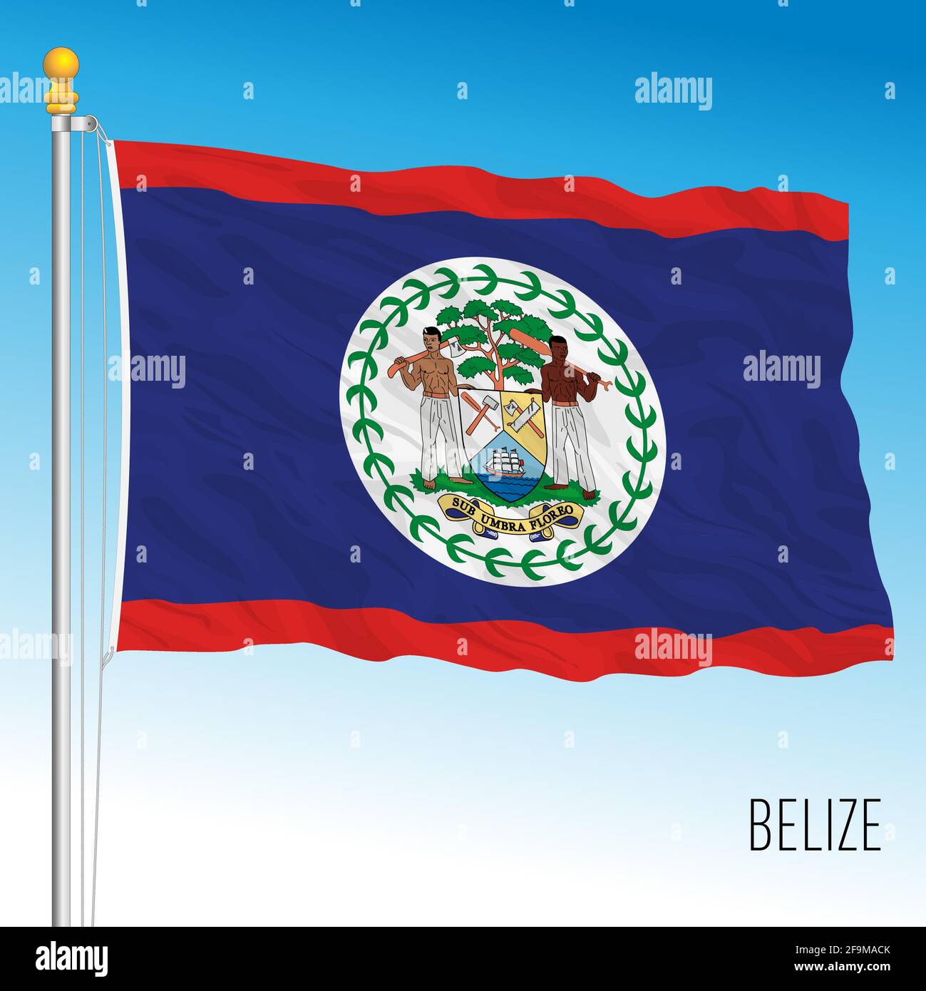 Bandiera nazionale ufficiale del Belize, paese americano, illustrazione vettoriale Illustrazione Vettoriale