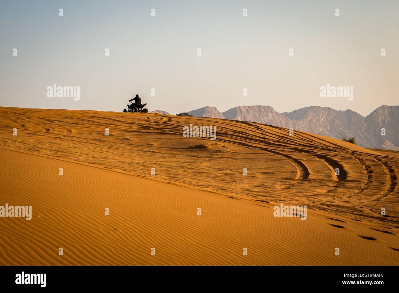 Silhouette di un quad che guida sulla duna di sabbia nel deserto, con le tracce di pneumatici dietro e le montagne sullo sfondo, tramonto, Fossil Rock, Sharjah, un Foto Stock