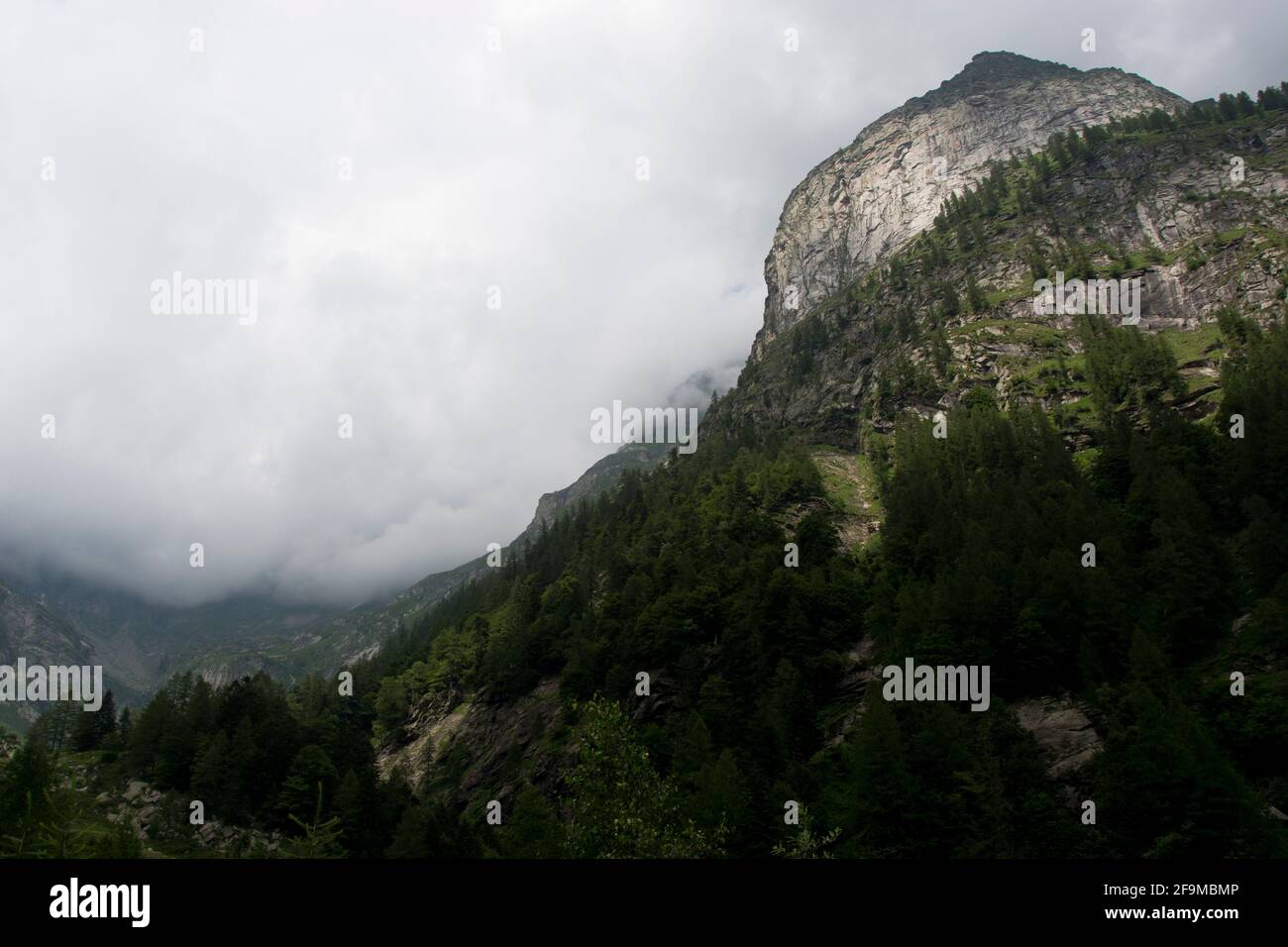 Das doris, Beginn des Verzascatals, im Tessin, Schweiz Foto Stock