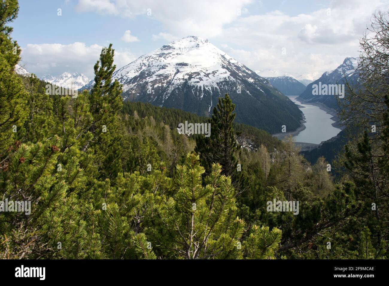 Schweizerischer Nationalpark: Ausblick von Munt la Schera Richtung Val del Gallo Foto Stock