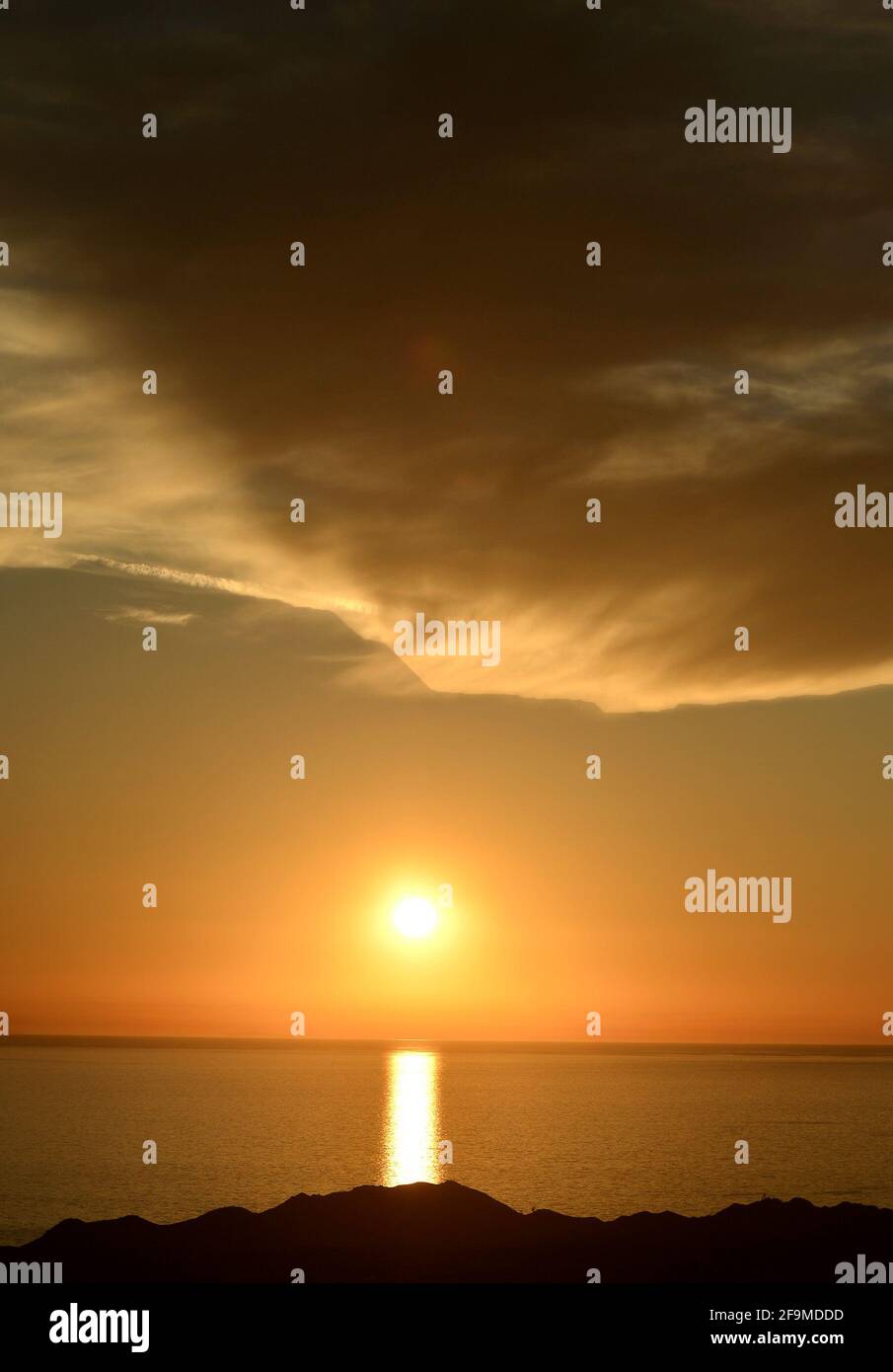 Ocotillo pianta con il sole al tramonto e nuvole sul mare del Golfo della California nel comune di Caborca, sonora, Messico. ocotillo pianta tipica del deserto di sonora e del deserto dell'Arizona (Foto di Israele Garnica / Norte Foto). Planta ocotillo con el sol al atardecer y nubes sobre el mar del Golfo de California en el municipio de Caborca, sonora , Messico. planta ocotillo tipica del desierto de sonora y desierto de Arizona.(Photo by Israel Garnica / Norte Photo). Foto Stock